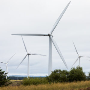 RES and Qubit Engineering announce collaboration on wind farm layout optimisation